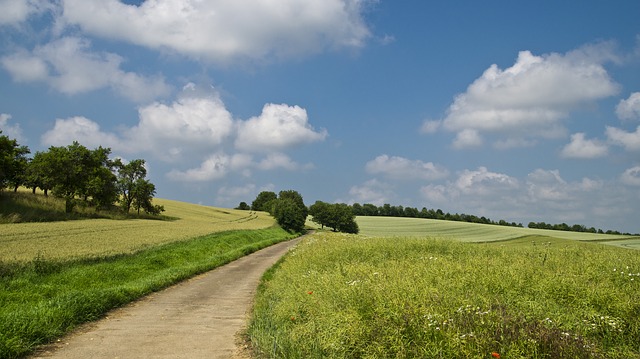 landcare