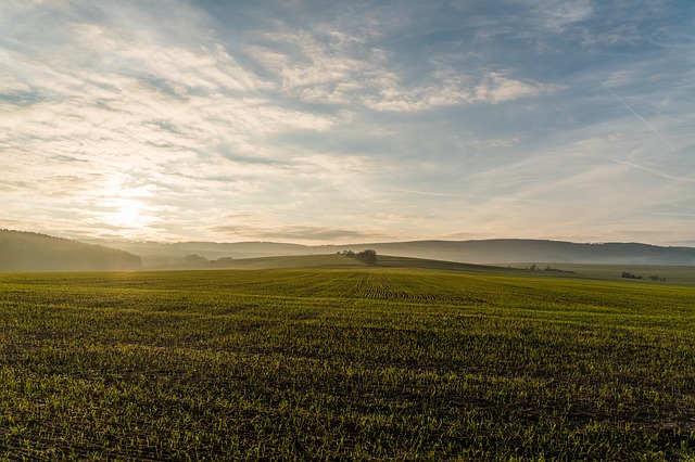 landcare