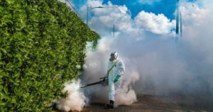 mosquito removal